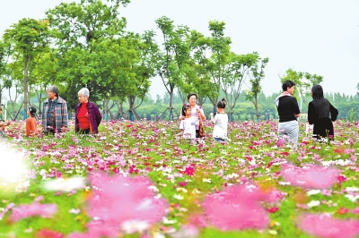 新時(shí)代 新征程 新偉業(yè)丨國際花園城市競賽，信陽憑啥“蟾宮折桂”