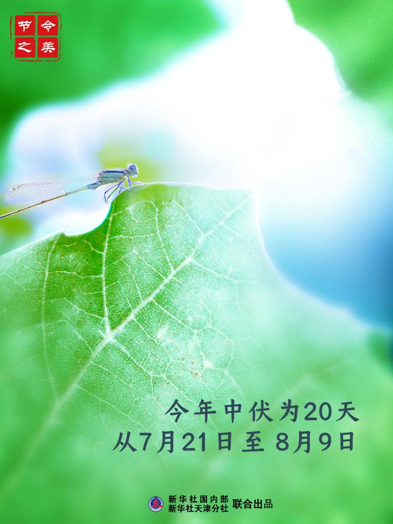 節(jié)令之美丨21日中伏：夏有三伏，熱在中伏