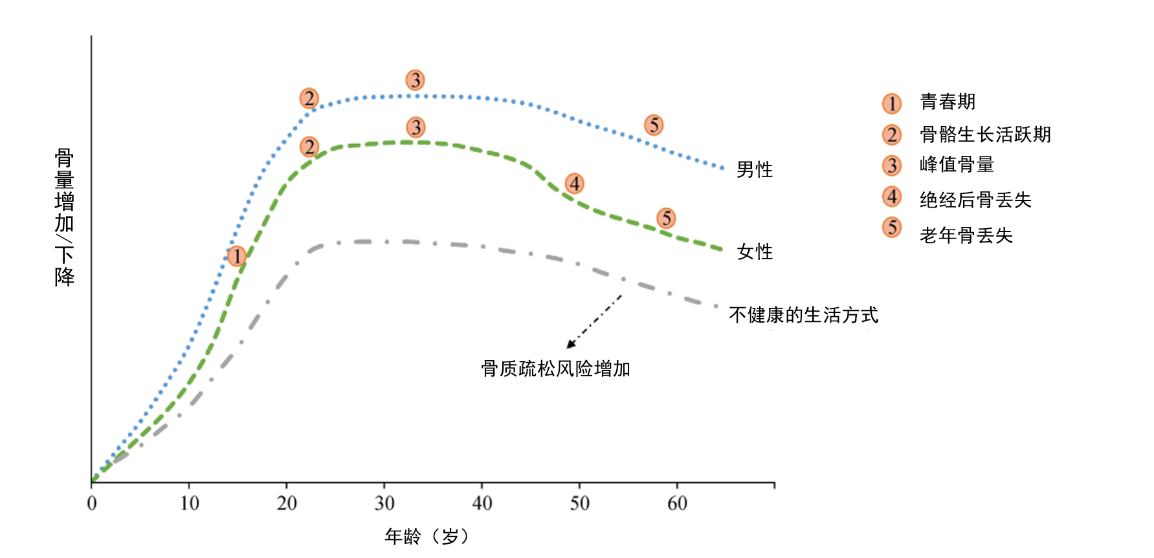 年紀(jì)輕輕，骨頭先老？預(yù)防骨質(zhì)疏松癥從早做起