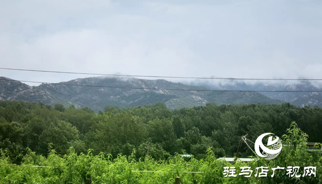 泌陽縣馬谷田鎮(zhèn)河南村：“直播帶貨”帶起產(chǎn)業(yè)發(fā)展新模式