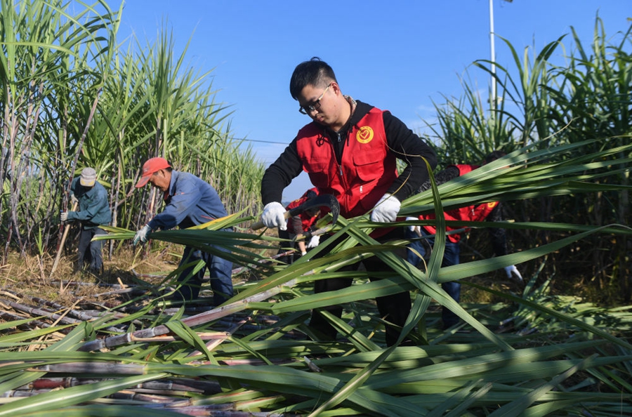 鐘華論：將調(diào)查研究發(fā)揚光大