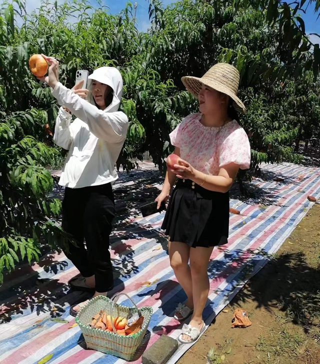 蜜桃掛滿枝 采摘樂(lè)趣多