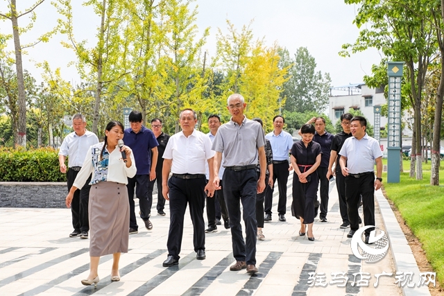 岳卷中調(diào)研泌陽(yáng)國(guó)土綠化工作