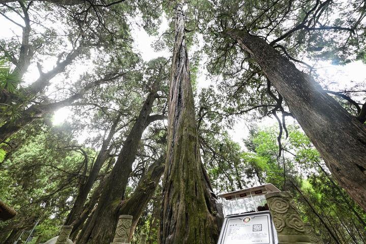 美麗中國(guó)丨望山看水有鄉(xiāng)愁