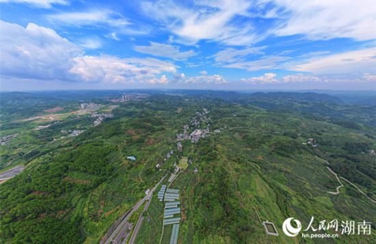 跟著總書記看中國丨“花果山”上“釀出”甜蜜新生活