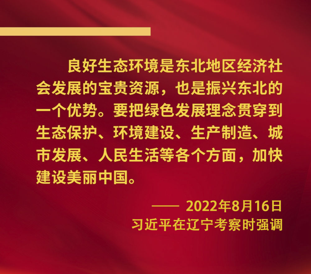 鏡觀·領(lǐng)航｜奮力譜寫東北全面振興新篇章