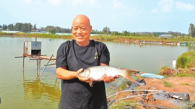 “河南海鮮”豐收了