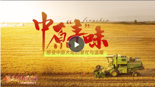 金秋稻花香！《中原“豐”味》描繪河南秋收畫(huà)卷