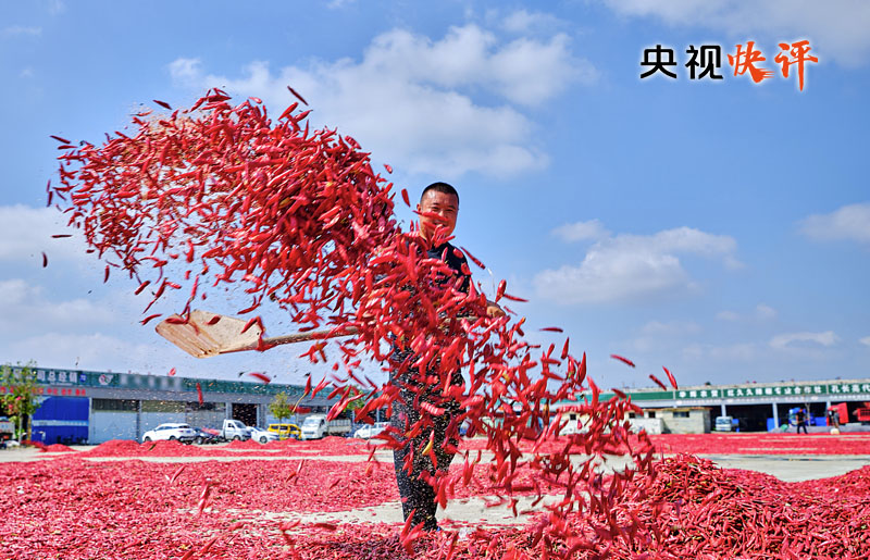 【央視快評】讓農(nóng)民腰包越來越鼓、生活越來越美好——慶祝第六個“中國農(nóng)民豐收節(jié)”