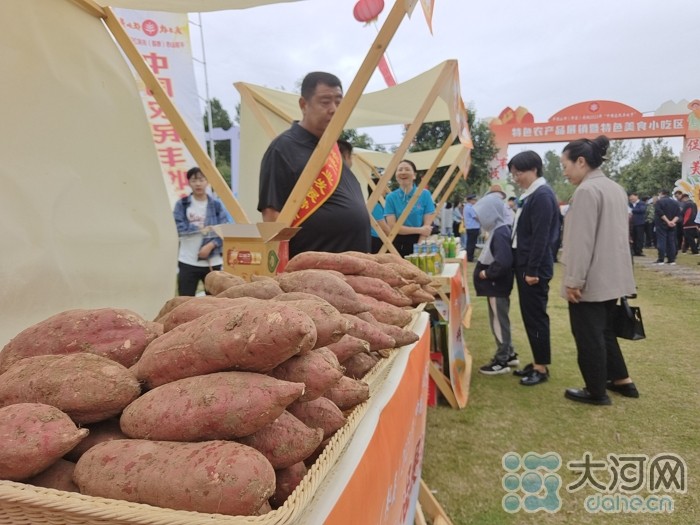 稻花香里說(shuō)豐年丨劉蘭芳點(diǎn)贊種糧大戶！平頂山慶祝2023年中國(guó)農(nóng)民豐收節(jié)