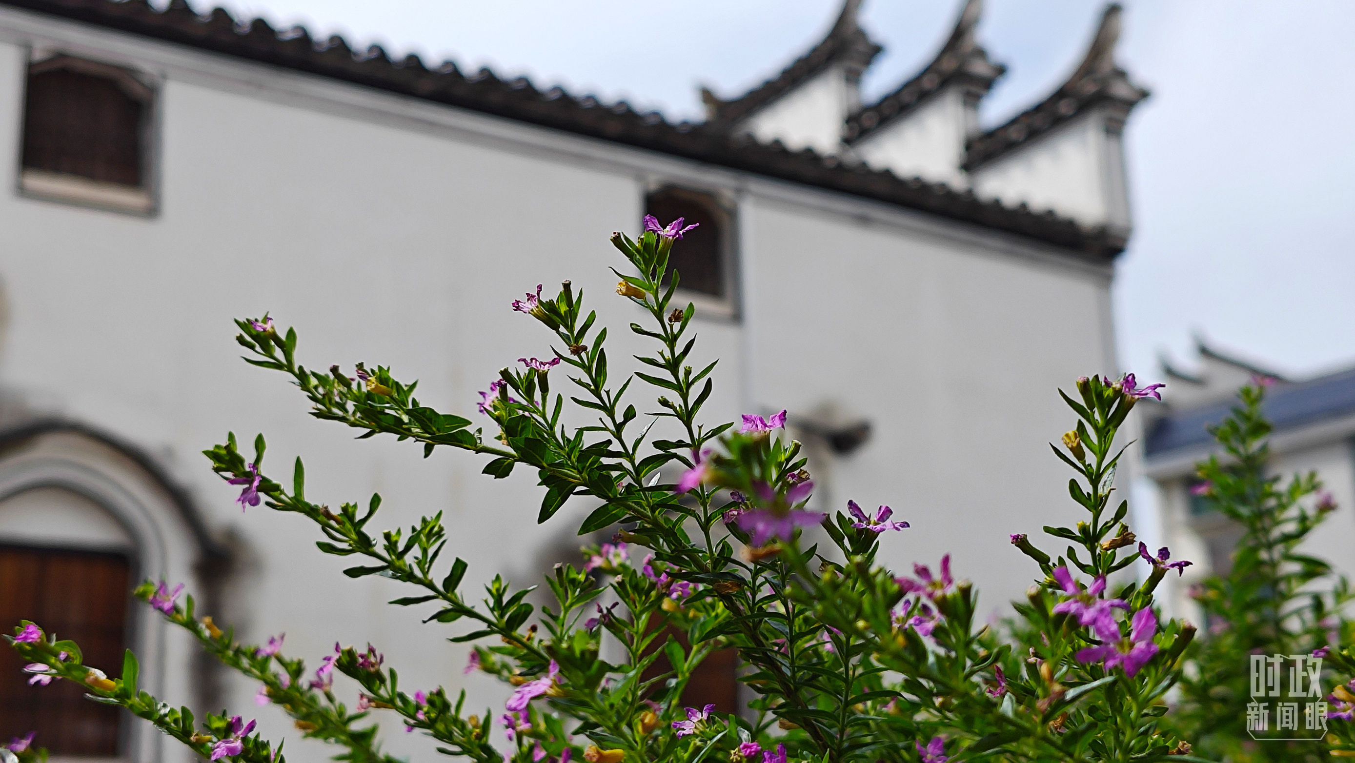 時(shí)政新聞眼丨從浙江到山東棗莊，習(xí)近平這一次考察重點(diǎn)強(qiáng)調(diào)了什么？