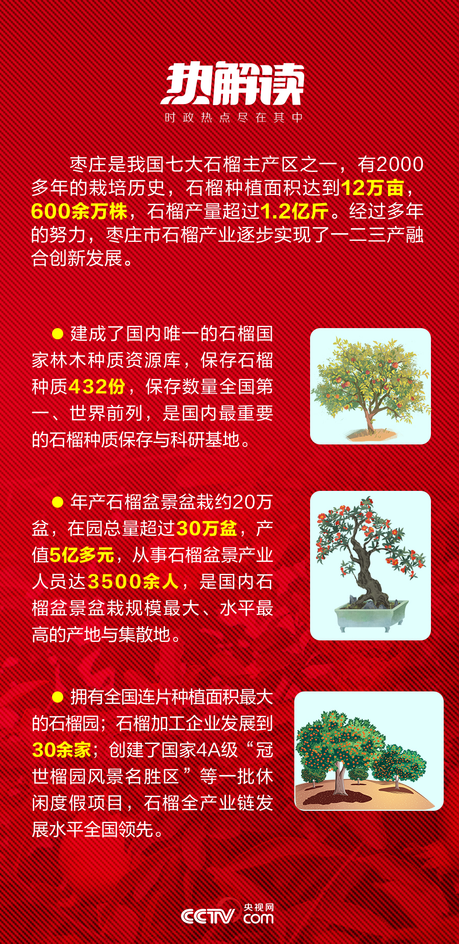 熱解讀｜火紅石榴如何帶來紅火生活 總書記再談這篇“大文章”