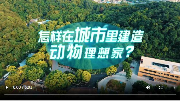 中國式現(xiàn)代化·青年的回答丨怎樣在城市里建造動(dòng)物理想家？