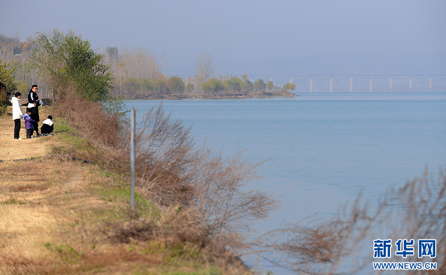 河南洛陽：黃河廊道“串起”生態(tài)美景