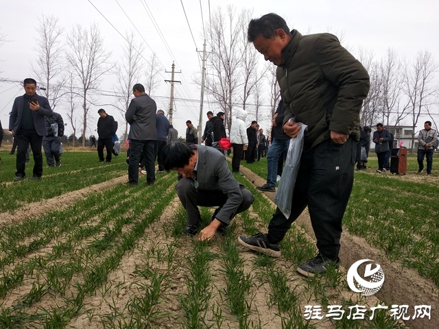 正陽縣持續(xù)開展高素質(zhì)農(nóng)民培育實(shí)踐教學(xué)活動