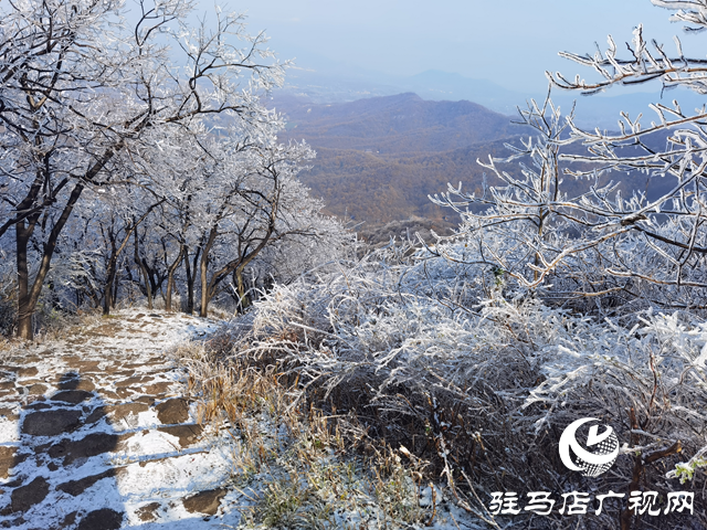 【組圖】駐馬店金頂山：漫山玉樹(shù)瓊枝如夢(mèng)如畫(huà)