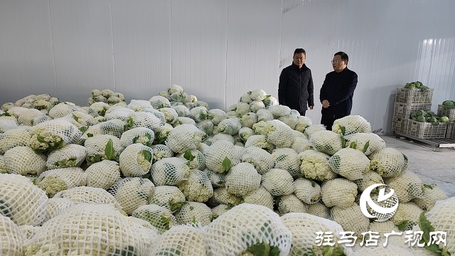 平輿縣萬金店鎮(zhèn)：“有機(jī)花菜”為三園建設(shè)“錦上添花”