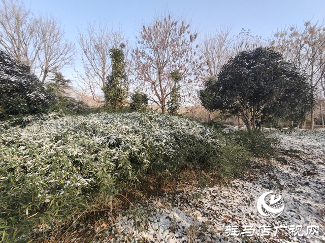 新蔡縣：“五湖四帶”披銀裝 雪中風(fēng)景美如畫