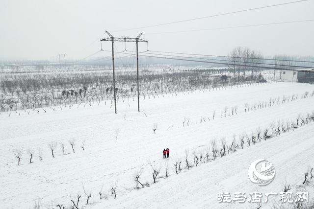 國網平輿縣供電公司：戰(zhàn)風雪 破堅冰 打贏春節(jié)保電攻堅戰(zhàn)