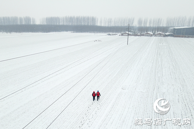 國網平輿縣供電公司：戰(zhàn)風雪 破堅冰 打贏春節(jié)保電攻堅戰(zhàn)