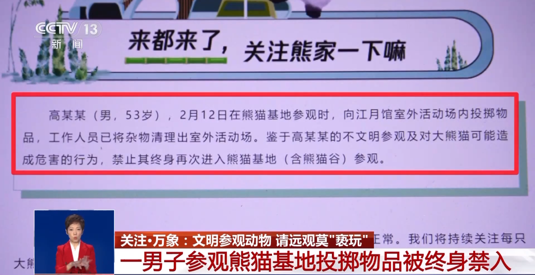 又有游客被終身禁入，為什么不能隨意投喂大熊貓？