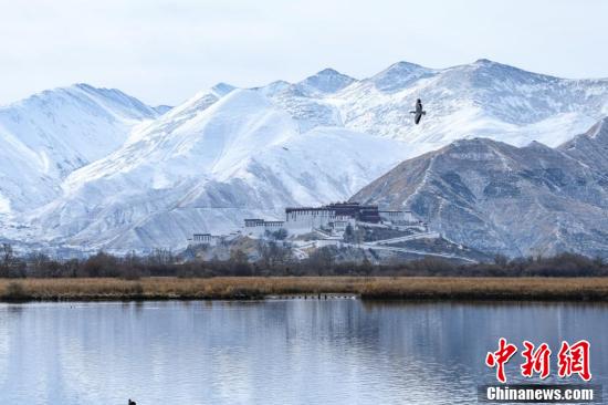 西藏拉薩：雪后布達(dá)拉宮美如畫(huà)