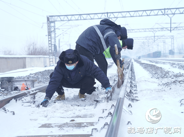 雪下的還是那么“任性”