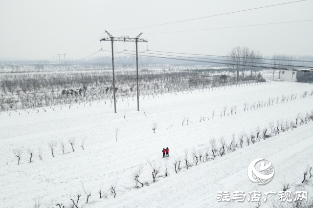 國網(wǎng)平輿縣供電公司：踏雪破冰護電網(wǎng)  寒潮逆行保民生