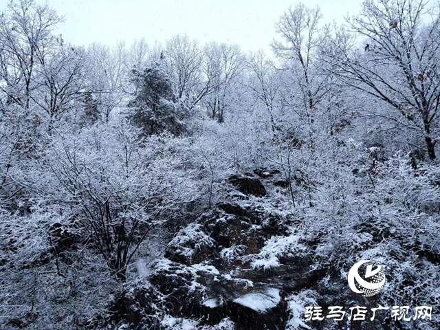 大雪來襲! 駐馬店市多個景區(qū)臨時關(guān)閉