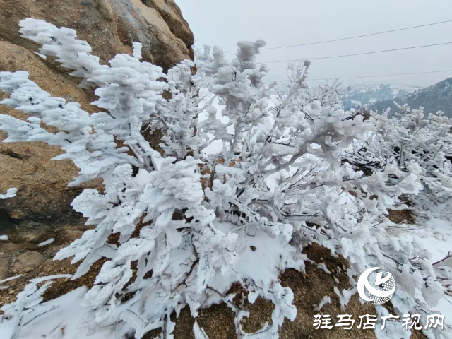 美呆了！羅漢山開啟雪凇、霧凇雙景齊現(xiàn)模式