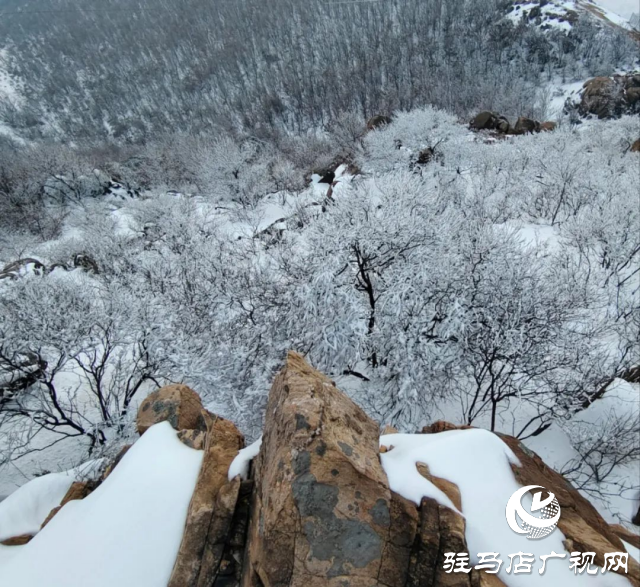 美呆了！羅漢山開啟雪凇、霧凇雙景齊現(xiàn)模式