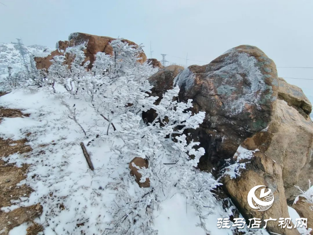 美呆了！羅漢山開啟雪凇、霧凇雙景齊現(xiàn)模式