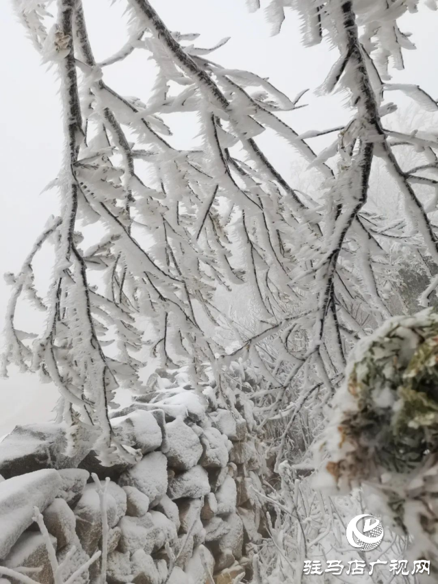 美呆了！羅漢山開啟雪凇、霧凇雙景齊現(xiàn)模式