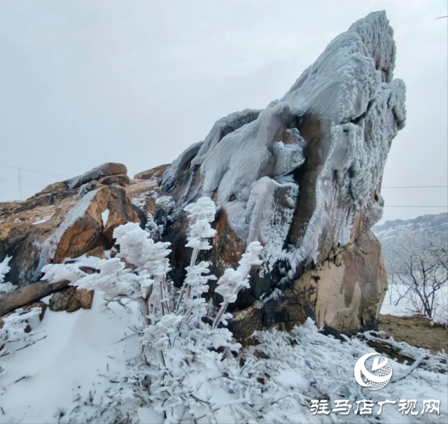 美呆了！羅漢山開啟雪凇、霧凇雙景齊現(xiàn)模式