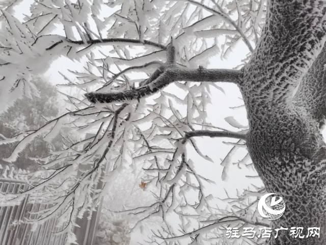 美呆了！羅漢山開啟雪凇、霧凇雙景齊現(xiàn)模式