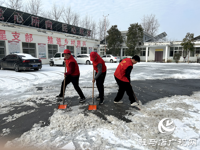 新蔡縣頓崗鄉(xiāng)團委開展學(xué)雷鋒做好事掃雪除冰志愿服務(wù)活動