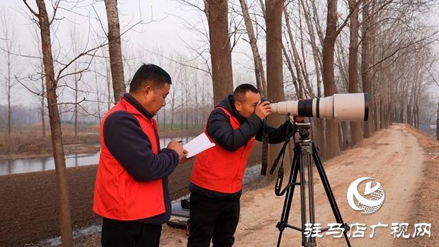 寒冬，他們在宿鴨湖濕地守護候鳥