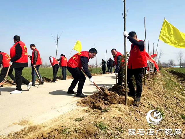 西平縣：不負(fù)春光植樹忙