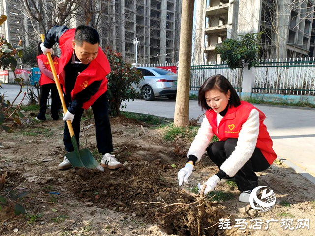 駐馬店市郵政分公司團委組織開展植樹活動