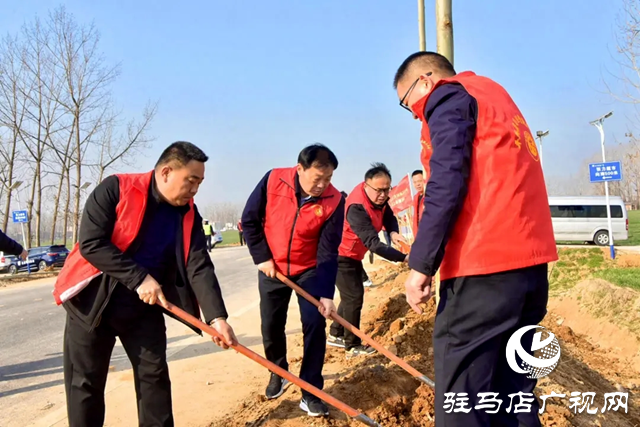 平輿縣四個班子領(lǐng)導與縣直各單位干部職工一起參加義務(wù)植樹