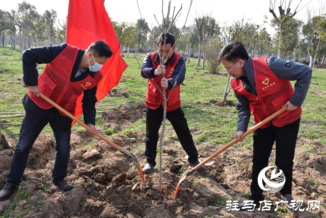 駐馬店高新區(qū)投資公司開展植樹造林志愿服務(wù)活動