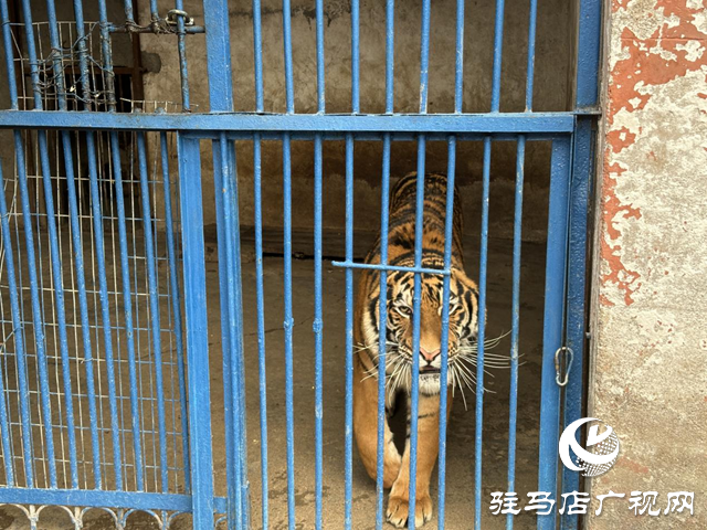 駐馬店市南海動物園：承載幾代人的美好回憶