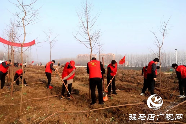 新蔡縣人民檢察院開展義務(wù)植樹活動(dòng)