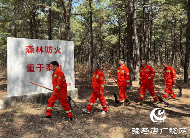 國有泌陽縣板橋林場：落實上級安排部署 全力構(gòu)建森防安全屏障