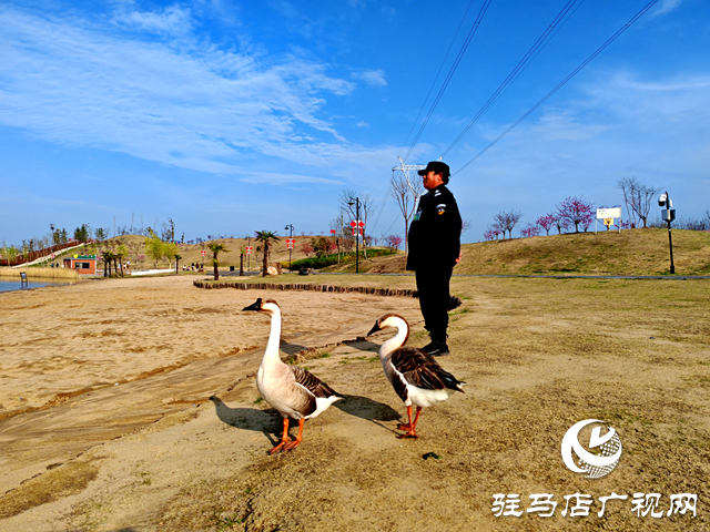 平輿縣天水湖濕地公園：人與自然和諧共生