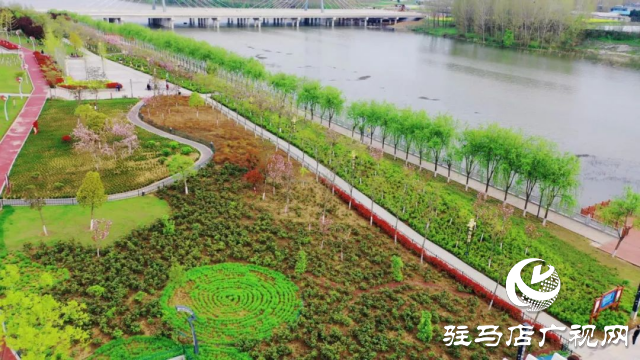 泌陽(yáng)縣：菌都公園春意濃 市民健身樂(lè)無(wú)窮