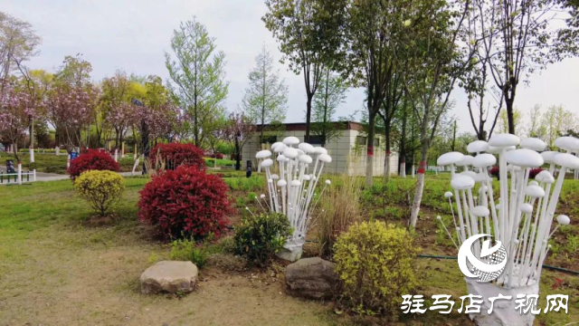 泌陽(yáng)縣：菌都公園春意濃 市民健身樂(lè)無(wú)窮