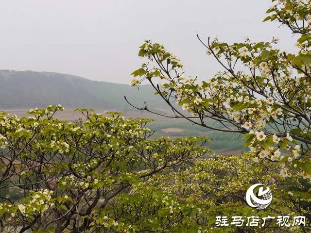 泌陽縣羅漢山：一片寧靜美麗的世外桃源