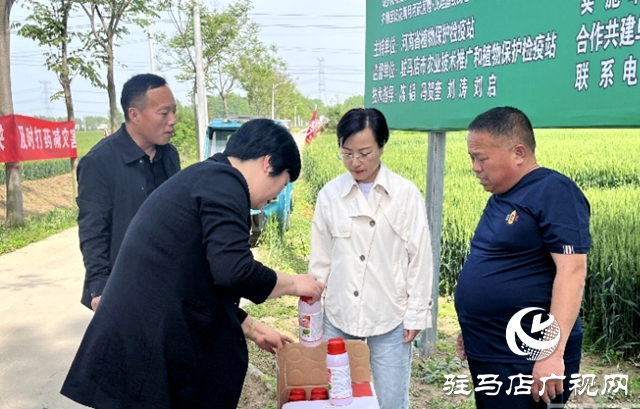 平輿縣2024年小麥“一噴三防” 暨重大病蟲害統(tǒng)防統(tǒng)治現(xiàn)場會(huì)舉行