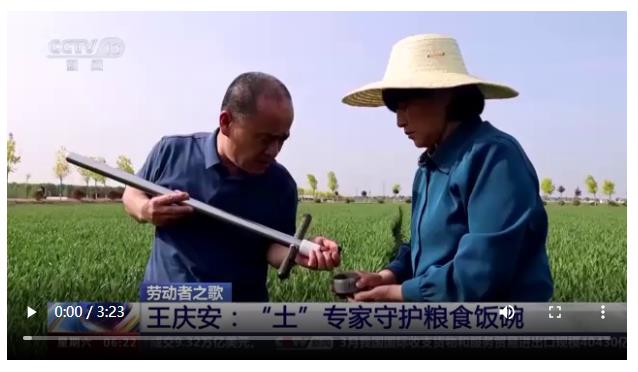 央媒觀豫丨在農(nóng)田里辦公 這個(gè)“土”專家，中！